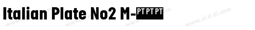 Italian Plate No2 M字体转换